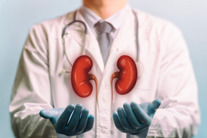 Böbrek üstü bezleri